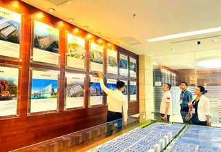 金山区写字楼绿植租赁咨询