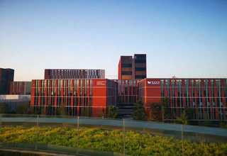 清远SBR胶乳供应商