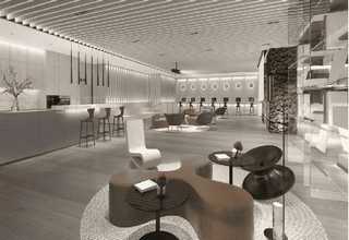 松江区C57小鼠疾病动物模型建模