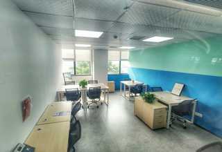 秦皇岛自动辣椒碎生产线