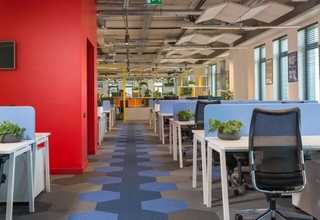 成都榴莲饼去哪买