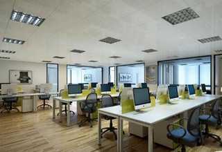 南宁消灭红蜘蛛