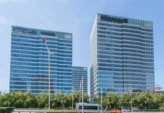 青岛刺猬紫檀办公桌定制厂家