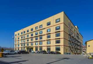 乌鲁木齐拐杖价格