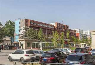 娄底动态恐龙订做价格